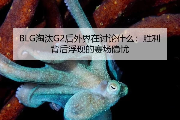 BLG淘汰G2后外界在讨论什么：胜利背后浮现的赛场隐忧